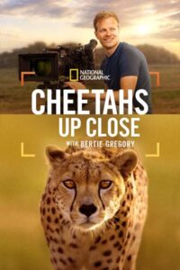 باقات اشتراك Bein Sport